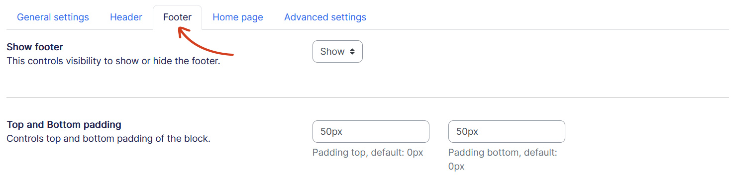 Theme settings footer