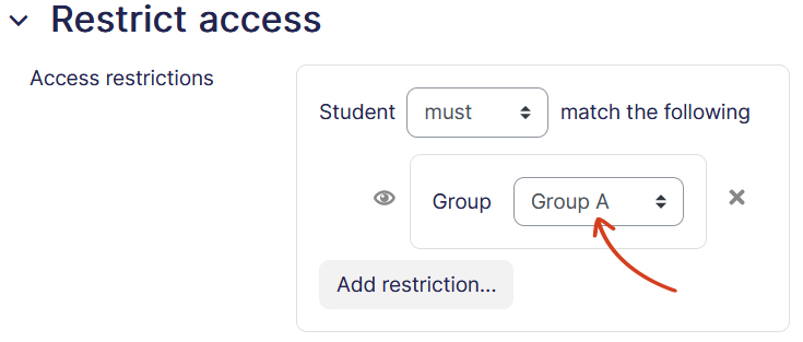 Access Restriction Group